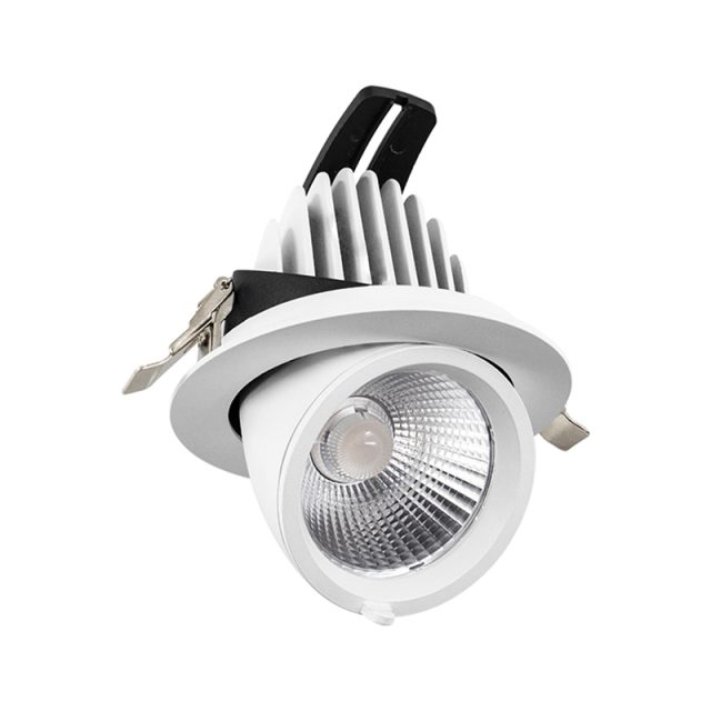 LED Downlights (2)