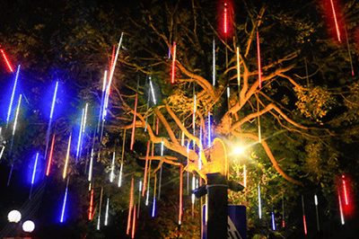 Led Decorative Lights 400