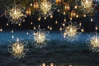 Led Decorative Lights 400