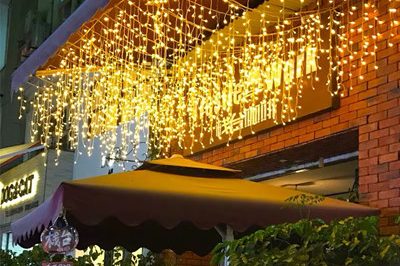 Led Diwali Lights 400