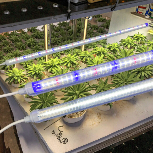 LED Tube Lights 3ft 4ft Plastic Body