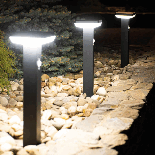 stainless steel solar LED garden lights