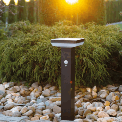 stainless steel solar LED garden lights