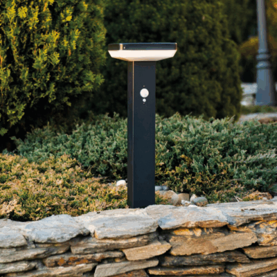 stainless steel solar LED garden lights