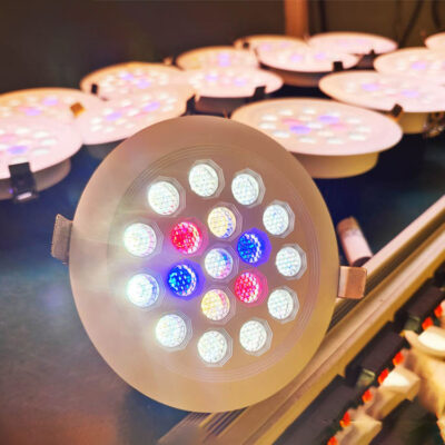 Trimless Recessed LED Downlight