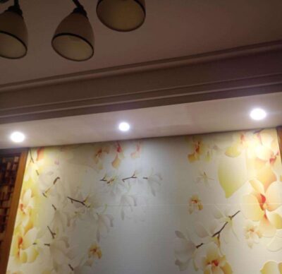 Adjustable Aluminum LED Downlight